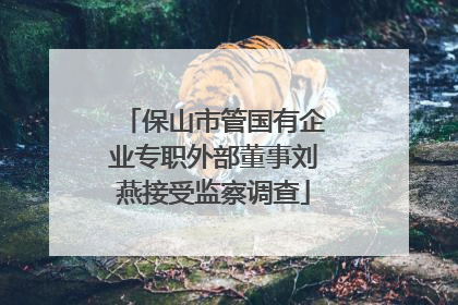 保山市管国有企业专职外部董事刘燕接受监察调查